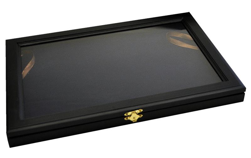 VITRINE für 100 Pins Ánstecknadeln schwarz Holzrahmen 5810 NEU 10240